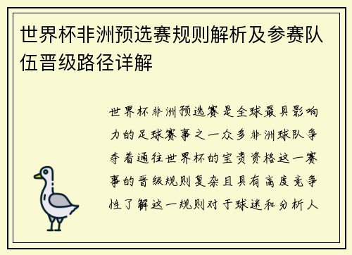 世界杯非洲预选赛规则解析及参赛队伍晋级路径详解